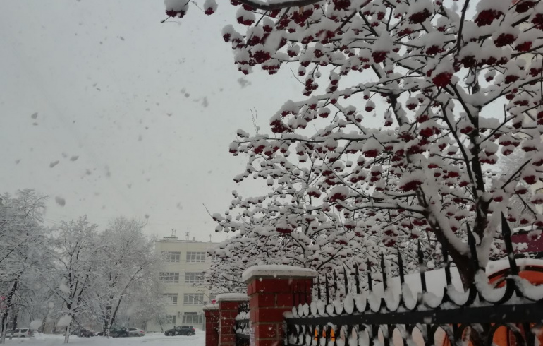 Все живое накрыло морозом. До первого снега. Февраль снег. Снег в Челябинске 2014 год апрель. Накрыло снегом.