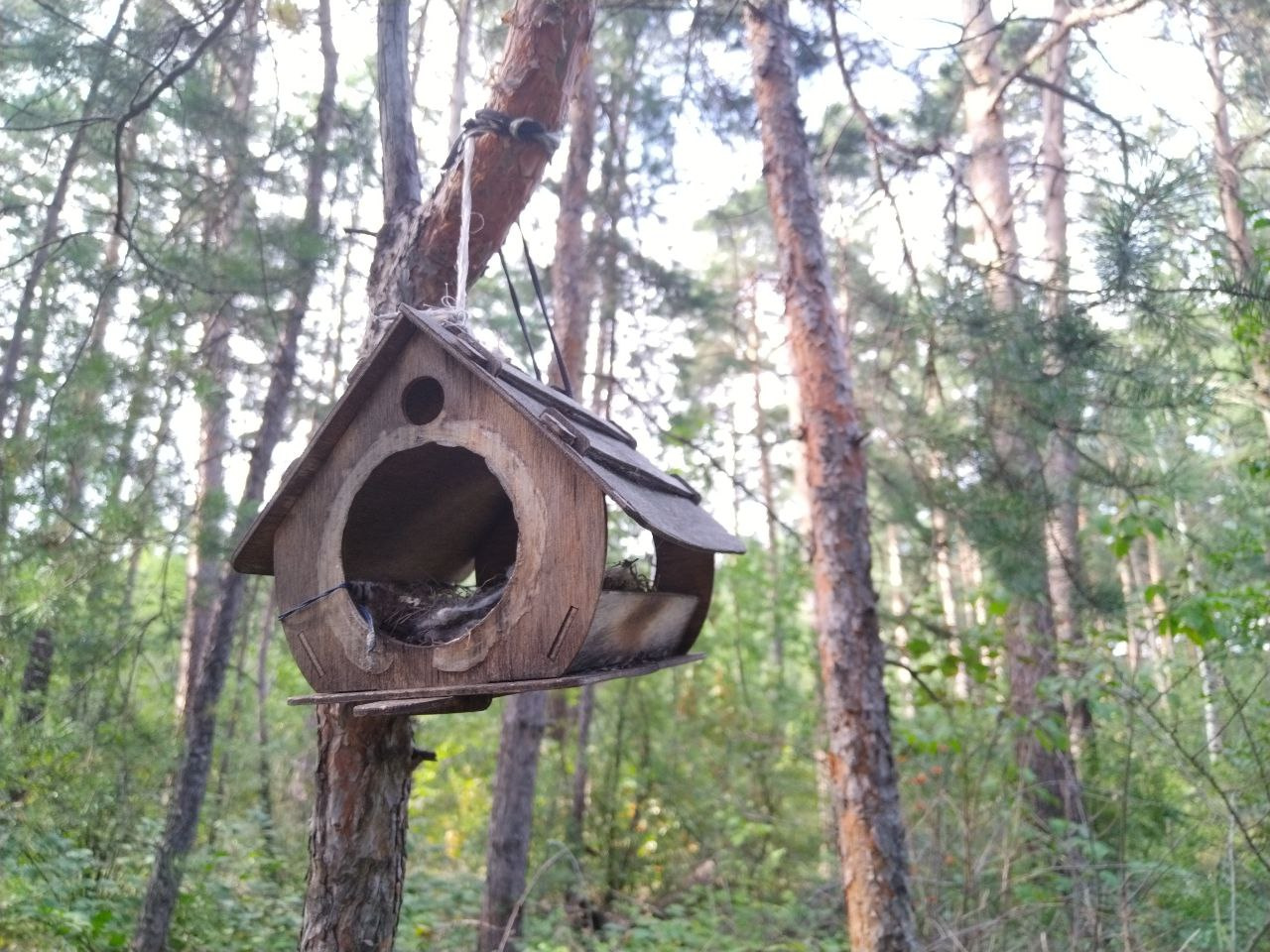 Синоптики дали прогноз погоды для Челябинской области на выходные 17 и 18 августа