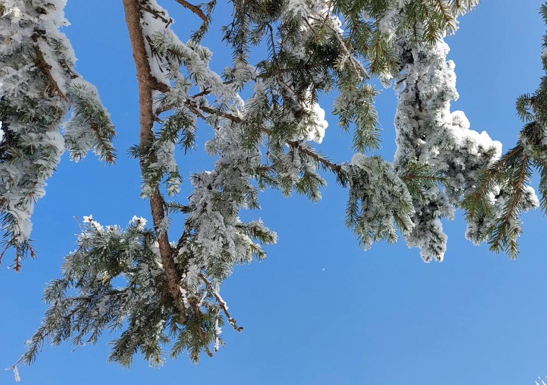 Южноуральцам рассказали, какие сюрпризы подготовила погода на предстоящие выходные