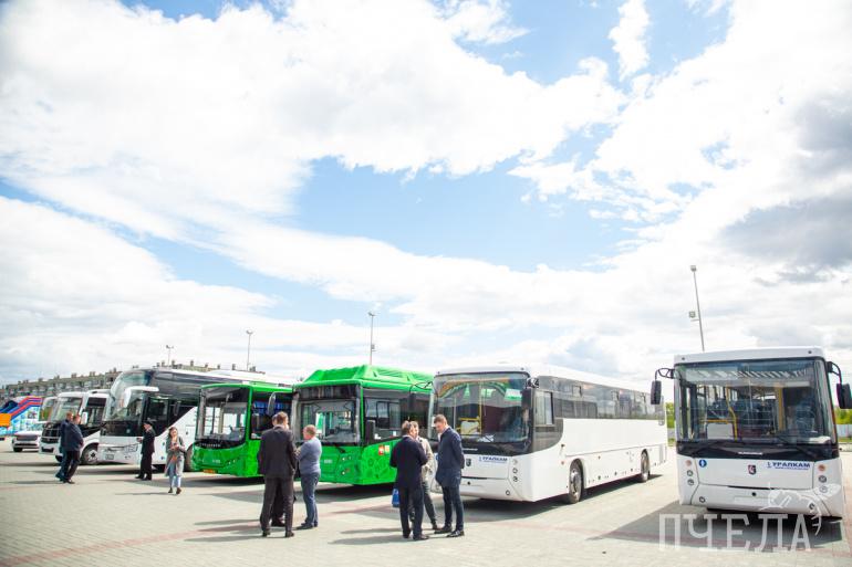 81 автобус челябинск. Автобус большой. Автобусы большого класса. Парк транспортных средств автобусов. Автобусы грузовые автобусы.