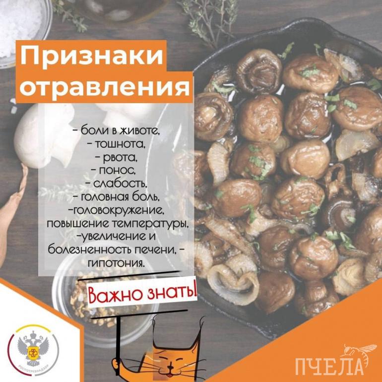 ПАМЯТКА по предупреждению отравлений грибами | Правительство Республики Крым | Официальный портал