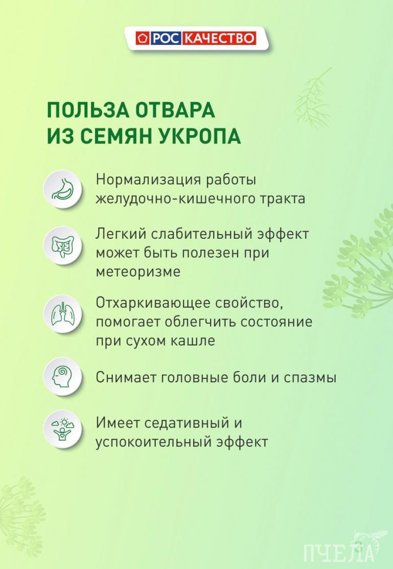 Эксперты Роскачества рассказали о полезных свойствах семян укропа и как  приготовить из них отвар | 07.09.2023 | Челябинск - БезФормата