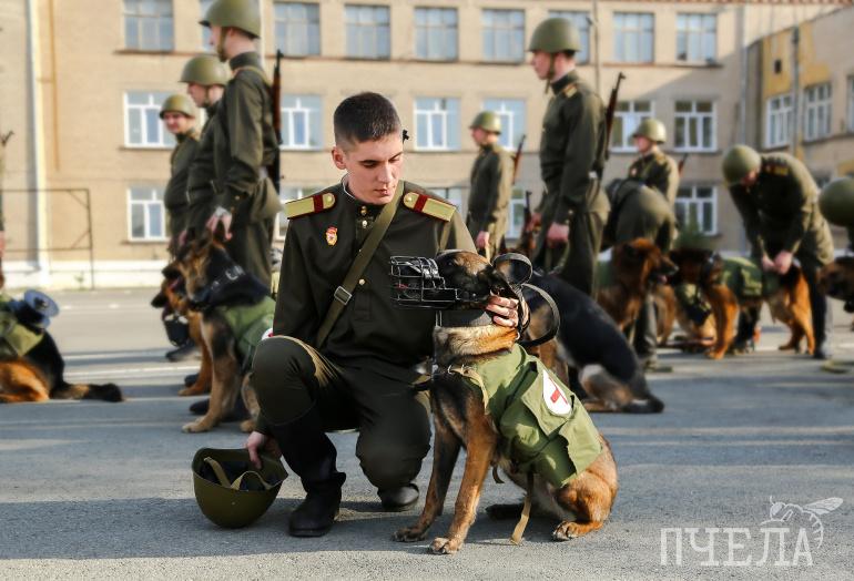 В Чечне объявлен конкурс «На страже порядка»