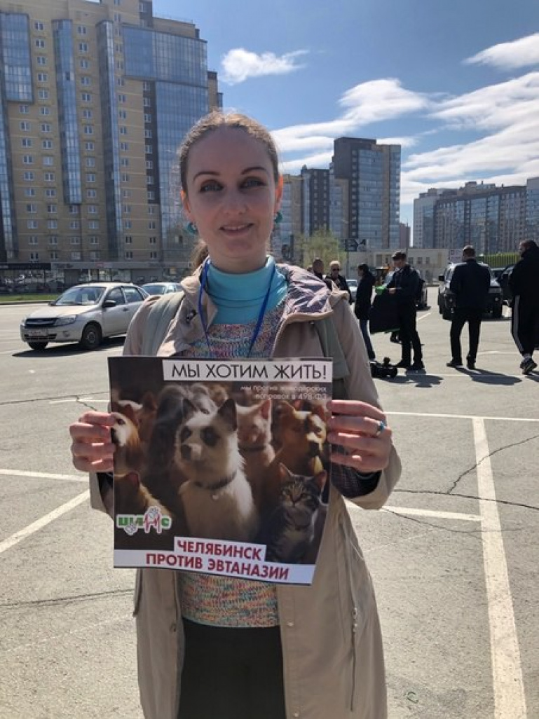 Более 300 южноуральцев выступили на митинге против жестокости по отношению  к животным | Pchela.news - Новости в Челябинске