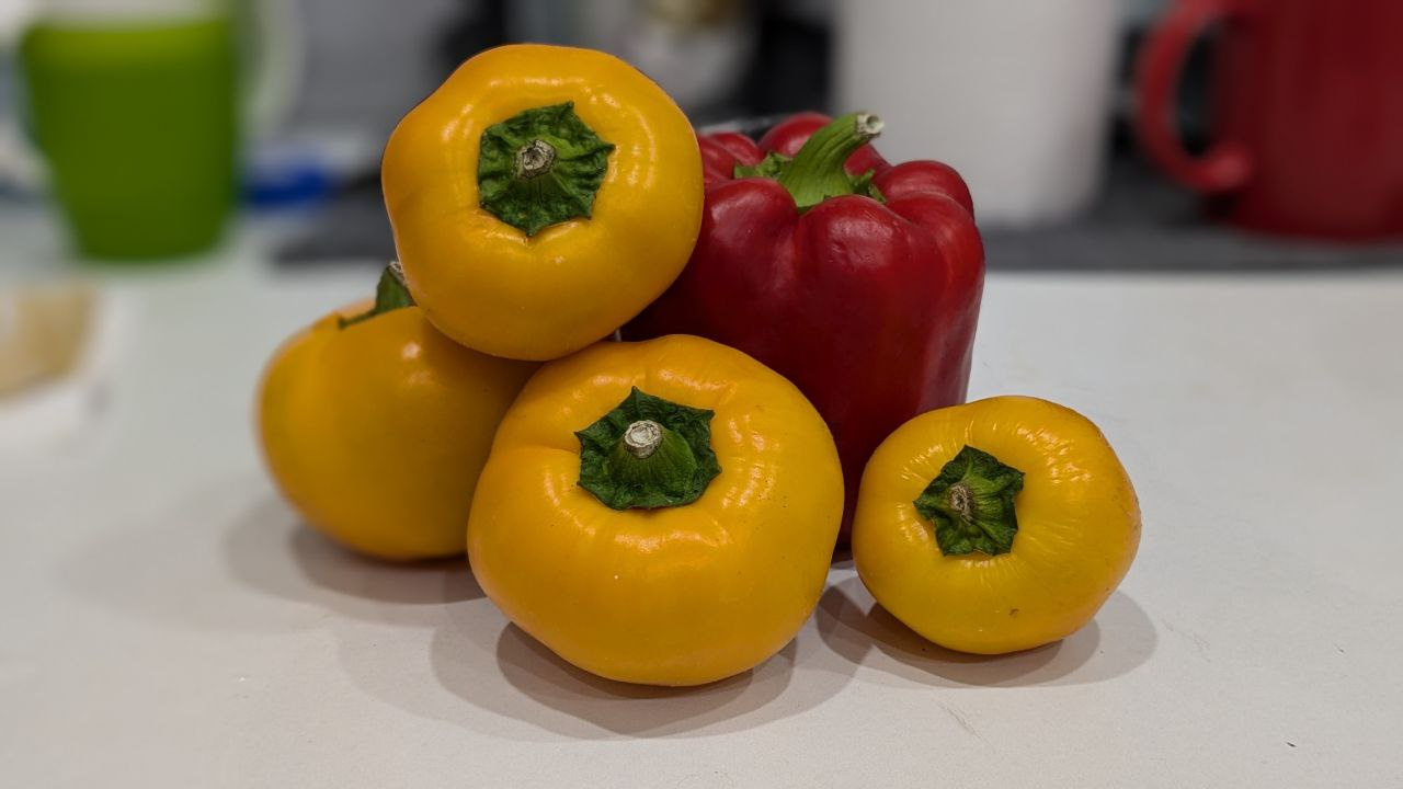 Когда сажать рассаду перцев в Челябинской области-2025: полезные советы для лучшего урожая