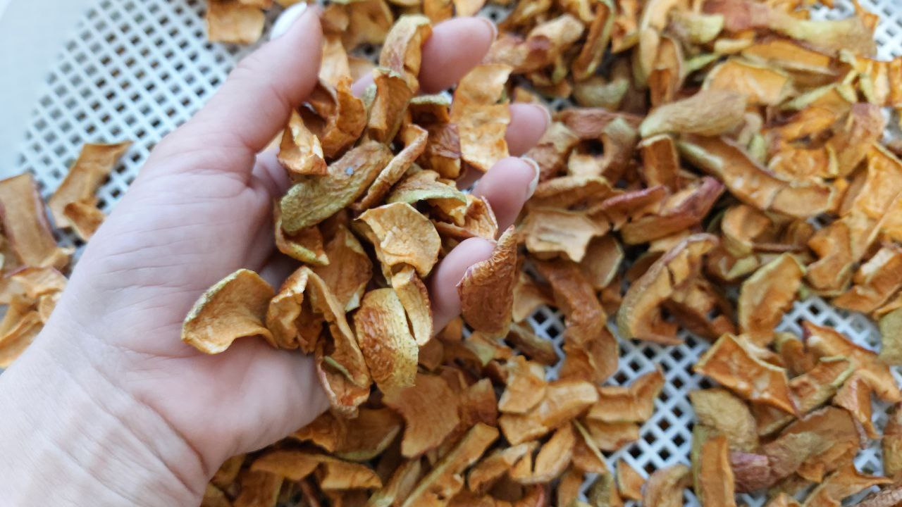 Южноуральцам рассказали о пользе и вреде сушёных яблок