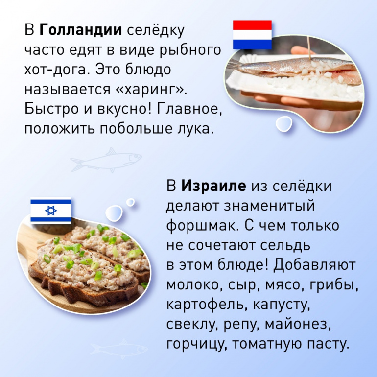 Блюда из сельди – рецепты с фото (пошагово)